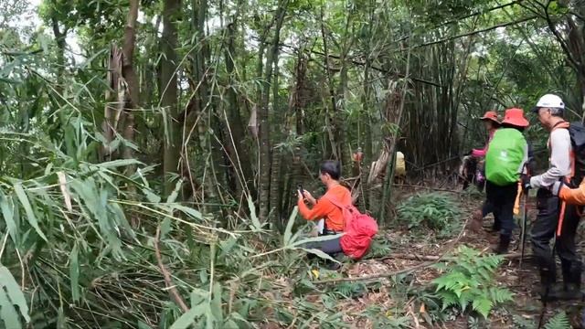 【新北汐止】姜子寮公園福興宮-許家古厝-大坪牛埔步道-旗尾崙～石門山十字鞍部-石壁子百年蕭家古厝-石壁子保甲路-石壁子土地公O行知性之旅！ смотреть онлайн