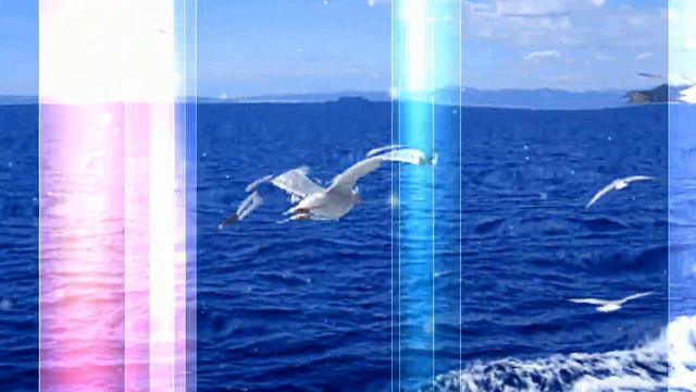 Океан - Любви! СТИХИ ВЕРА ГАРТ смотреть онлайн