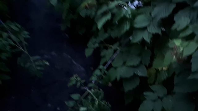 С ГОЛОДУ НЕ ПОМРЕМ- ДРУГ ПОМОЖЕТ