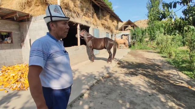 БЫЙТЫ БАЛБАНДЫН ГҮЛСАРЫСЫ ЧОН ЖЫЙЫНГА ЖАРАГАН смотреть онлайн