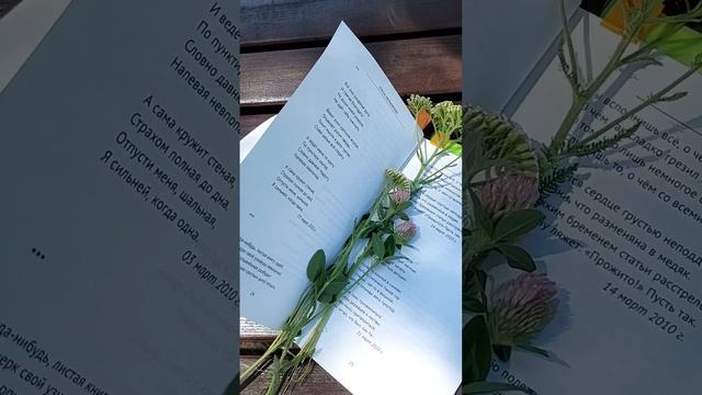 «Голос души»: о чём он говорил со мной через стихи? смотреть онлайн