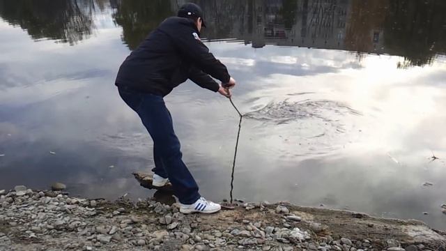 КОРМ ДЛЯ РЫБОК.ЦИКЛОП.ВЫЛОВ смотреть онлайн