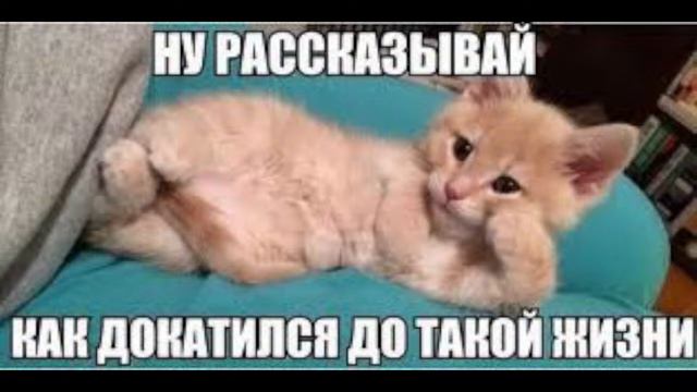 Путь до ФБР | Arizona RP Tucson | #2 Повышаемся до 5 ранга!! смотреть онлайн