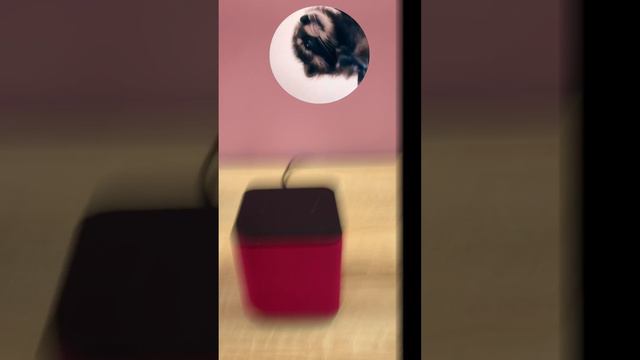 Яндекс Станция Миди с Алисой Малинового цвета ❤️ смотреть онлайн