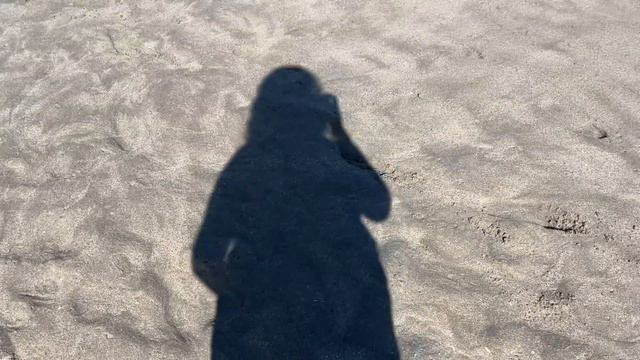 thrift with me in miami as a plus size girly смотреть онлайн