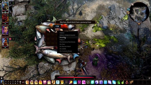 Divinity Original Sin 2 Definitive Edition [PL] #23 Wybrzeże Żniwiarza смотреть онлайн