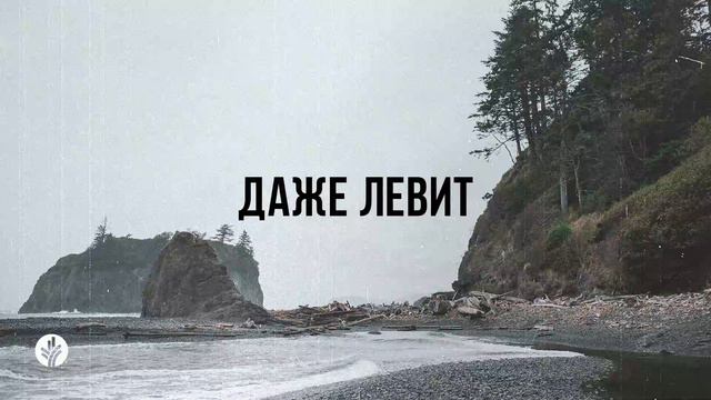 ДАЖЕ ЛЕВИТ| Ежедневное христианское чтение | 29 февраля 2024 смотреть онлайн