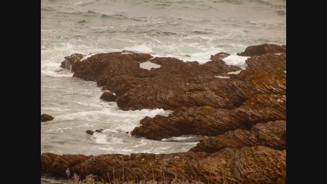 Spooner's Cove areas - Montana de Oro State Park CA - slideshow смотреть онлайн