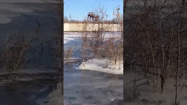 Садовый участок в низине.Весеннее подтопление талыми водами.Когда нибудь там возможен прудик))). смотреть онлайн