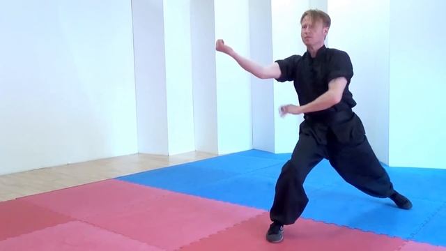 Learn Choy Li Fut Kung Fu | Ping Kuen form. смотреть онлайн