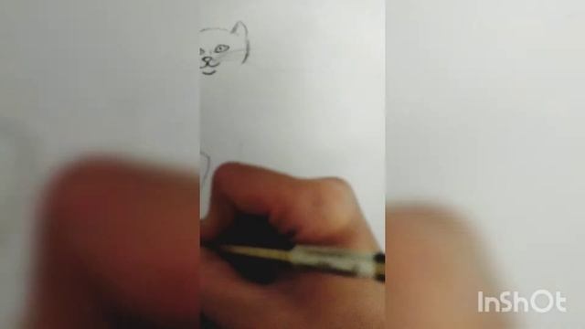 учимся рисовать кошку смотреть онлайн