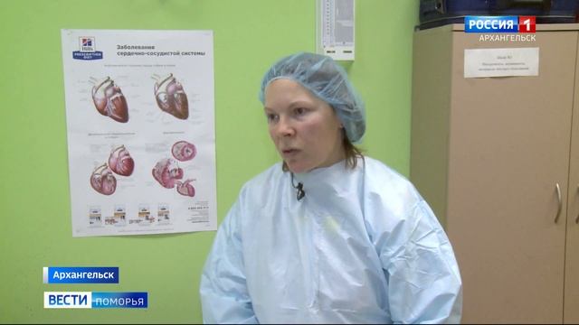 Четвероногие «воспитанники» архангельского приюта ждут новых хозяев смотреть онлайн