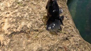 Рыбалка Кутум . Хороший клев. Дагестан Дербент 2022