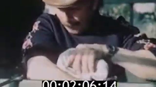 Семейные секреты