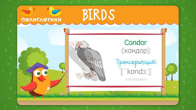 Учим английские слова по теме BIRDS смотреть онлайн