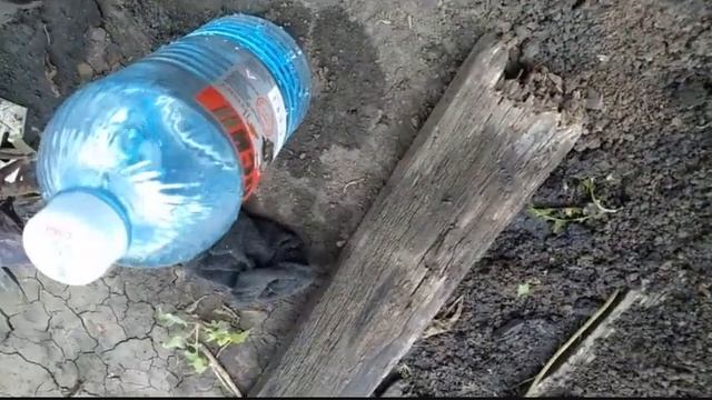 Как избавиться от крота на участке смотреть онлайн