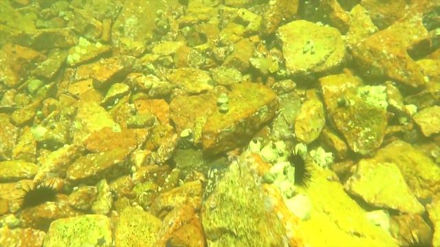 Субботняя покатуха туда где стало слишком много людей смотреть онлайн