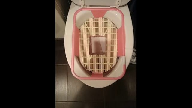 Приучить кошку к унитазу ПРОСТО !!! смотреть онлайн