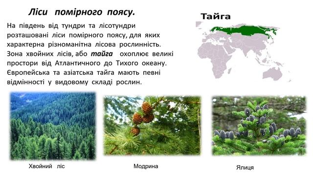 Географія. 7 клас. Тема : «Природні зони. Арктичні пустелі. Тундра. Лісотундра. Лісостепи і степи.» смотреть онлайн