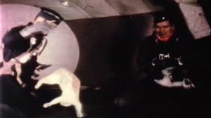 Кошки в Космосе - Эксперимент: Животные в невесомости