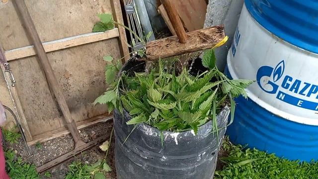 Самая чудодейственная подкормка ?Всё поспеет на корню ??️?? смотреть онлайн