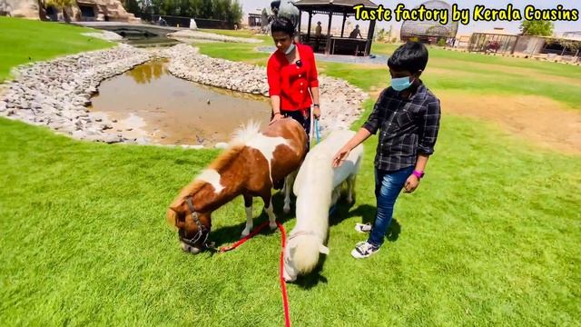 Wildlife Park in Umm Al Quwain | Zoo in Umm Al Quwain | Must Visit Place in UAE | DUBAI ZOO 2021 смотреть онлайн