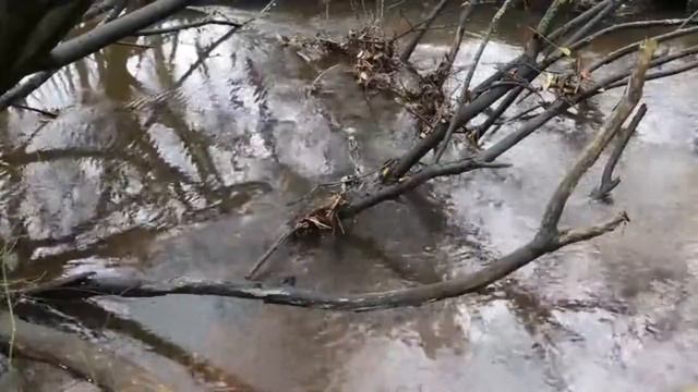 Город Полесск 500 лет спустя ( продолжение 3-й главы) смотреть онлайн