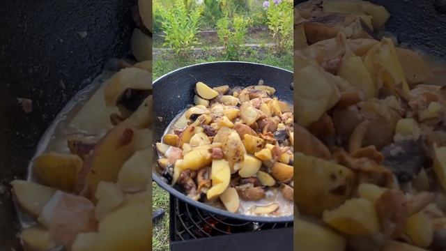 #готовка #природа #дача #еда #вкусно #рек #рекомендации смотреть онлайн