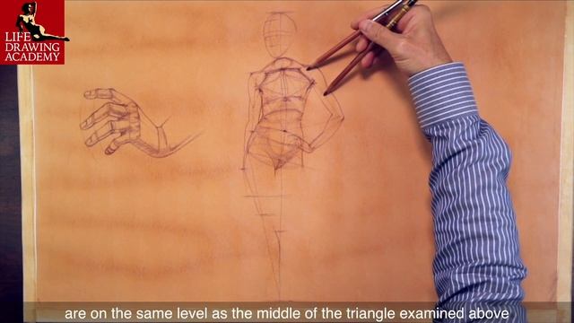 How to Draw Female Body смотреть онлайн