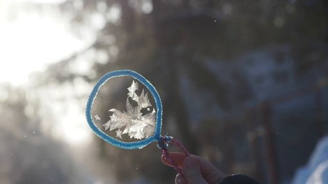 Морозные узоры на мыльных пузырях. Зимние эксперименты смотреть онлайн