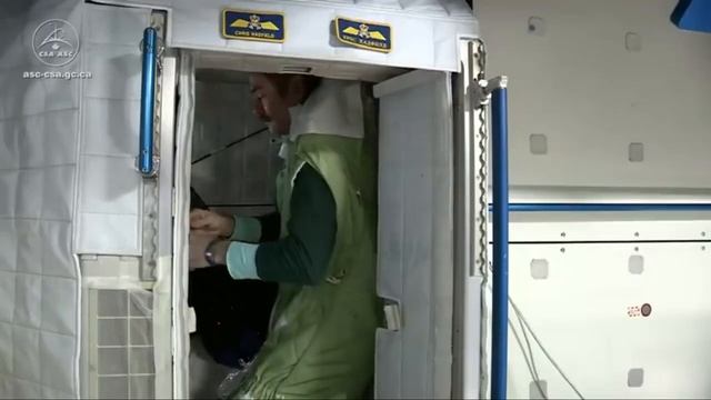 أكل لحم من البقرة وهي حية / Eat meat from the cow while it is alive смотреть онлайн