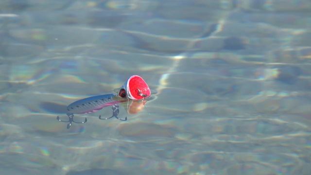 Catch More Fish with THIS Mind-Blowing Popper! The Secrets of Gravity Popper Revealed! смотреть онлайн