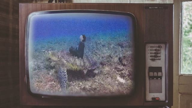 ХРОМАКЕЙ/CHROMAKEY/Fujifilm X-T2/18-55mm f2.8-4/Видеограф Новосибирск смотреть онлайн