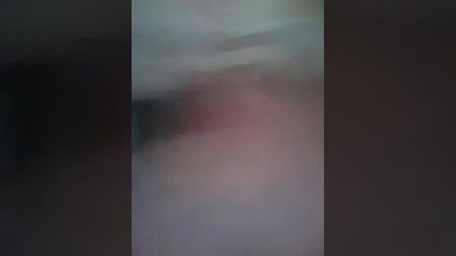 Мопс просится помыться смотреть онлайн