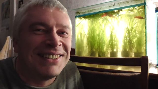 Сегодня 27 февраля 2021 год, суббота Орловские аквариумные рыбы гуппи и меченос! смотреть онлайн