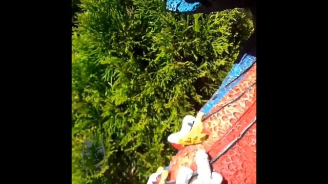 Садовая скульптура «Кикимора с ежом» смотреть онлайн