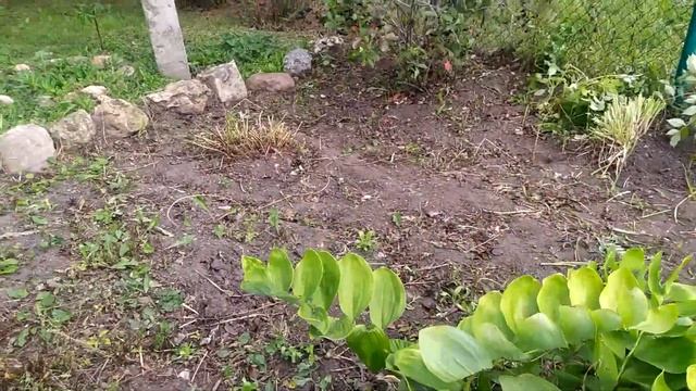 ПОДГОТОВКА ЦВЕТНИКА К ЗИМЕ! СДАЛИ МЕТАЛЛОЛОМ! смотреть онлайн