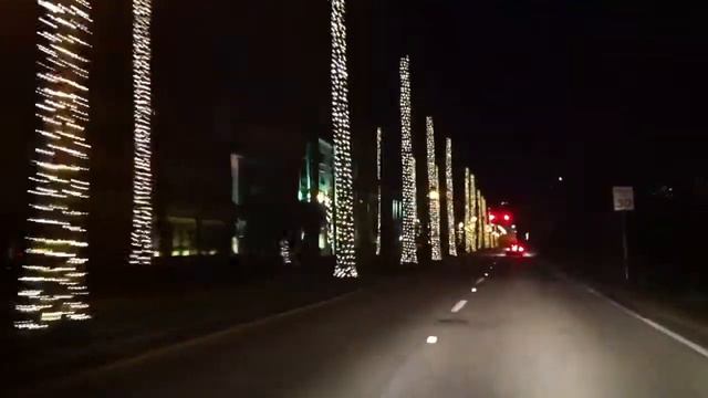 Lighting the Palms on Royal Palm Way in Palm Beach - 11-28- смотреть онлайн