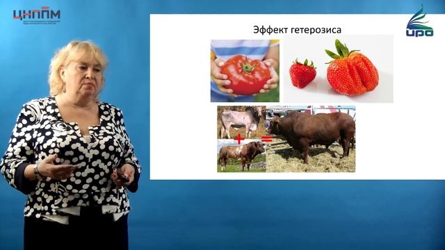 Западающие темы по ЕГЭ. Селекция смотреть онлайн