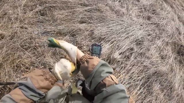 Удачно заехал на древнее поселение. Заброшенные места доставили массу эмоций. смотреть онлайн
