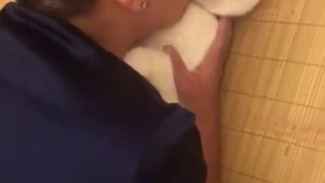 как довести своего кота до экстаза смотреть онлайн