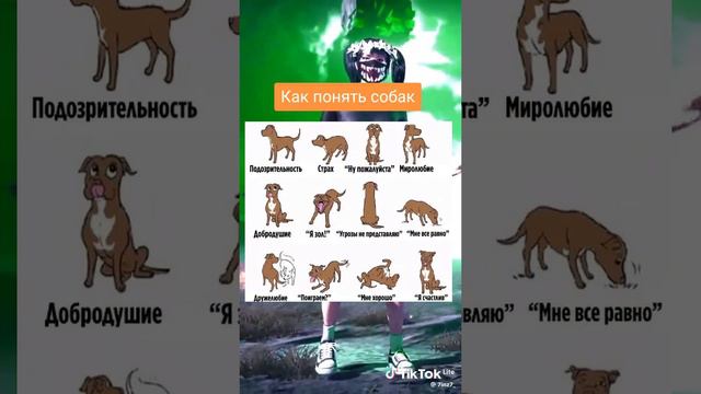 8621e1ac7542158fe156f0e12f142345.mp4