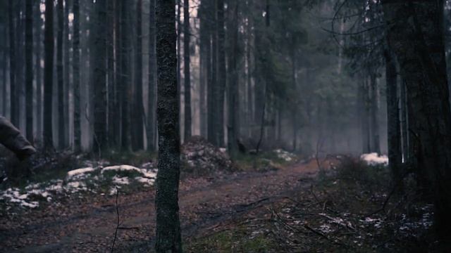 Павший Расчёт, стихи Анны Герасимовой смотреть онлайн