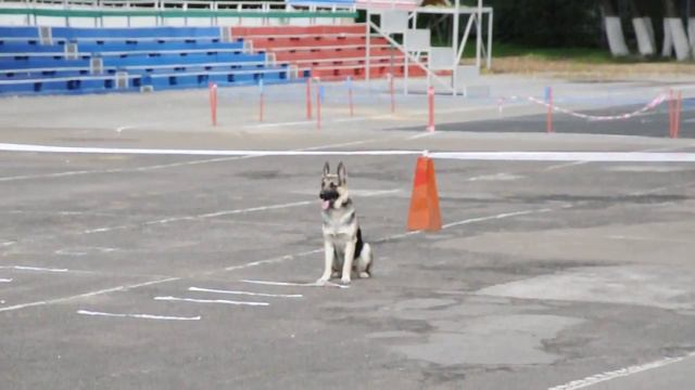 Хангрей смотреть онлайн