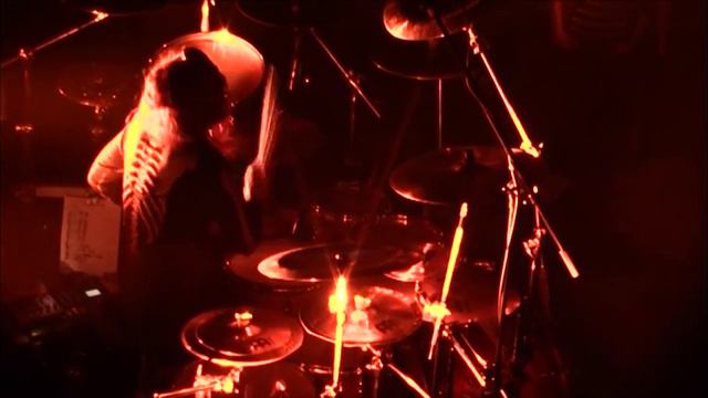 Miloš Meier - drum solo with DYMYTRY ( Prague 30/09/10 ) смотреть онлайн
