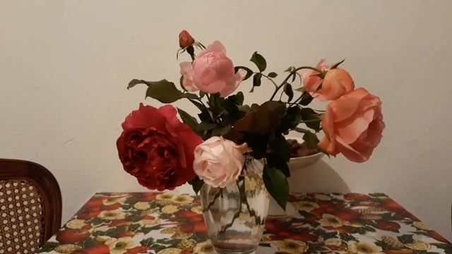 Шенгенская виза на год открыта!!! смотреть онлайн