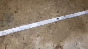 Как узнать вес  быка, коровы без весов