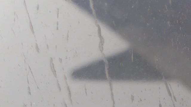 Полёт Омск- Санкт-Петербург (Пулково)|Boeing 737-800 смотреть онлайн