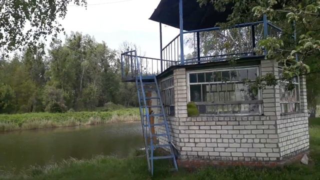 Ловля линя на удочку. Рыбалка в Мае, на линя. Поймать линя. Поймал линя. смотреть онлайн