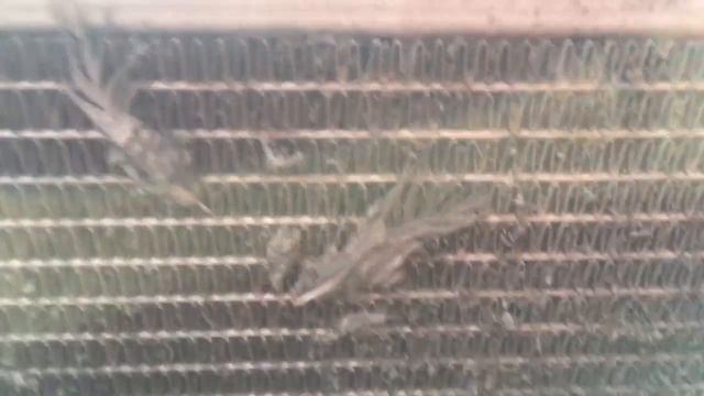 DID THIS CRACK THE PISTON? Or contributing factor? смотреть онлайн